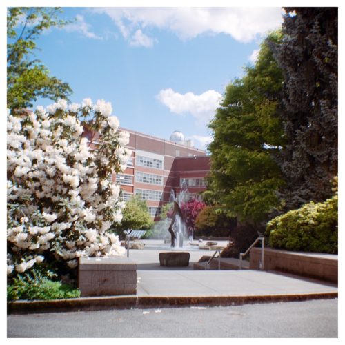 11710319-83E0-464E-9570-872D2B45AD8E 1 105 c