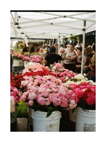 15C5518D-8D71-4DBB-96B8-6086E45CF3E7 1 105 c