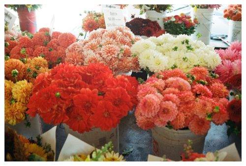 4EDCD605-CC73-4DE3-BAB6-636BB2D49599 1 105 c