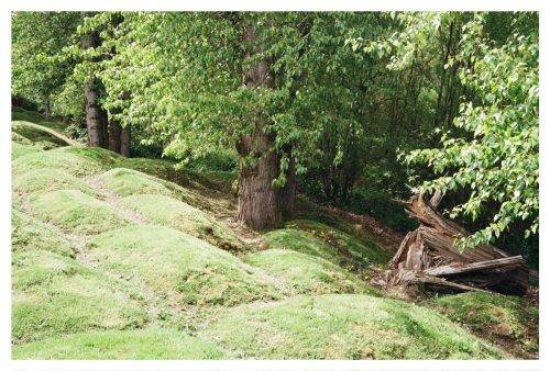 53F61034-328C-4486-95A5-90D188D128F3 1 102 a