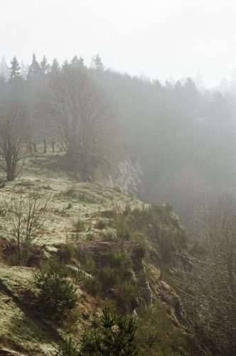 Discovery_Park_January_2026.5