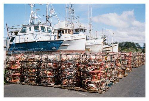 E9E4911E-EE28-4952-9C98-CFA08563C9DC 1 105 c